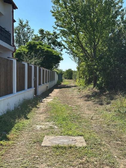 Vand teren Ciofliceni Snagov - 3