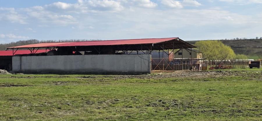 Teren Construcții intravilan de 60000 mp, în Călugăreni