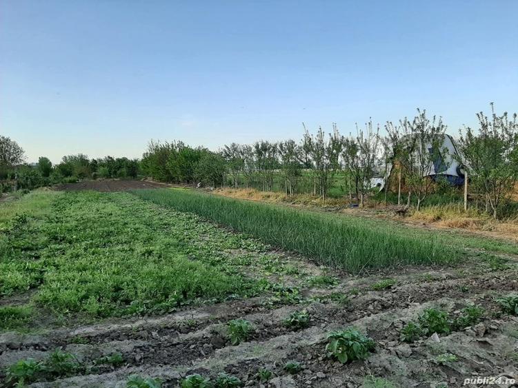 Teren de 4000 mp, în Măgureni