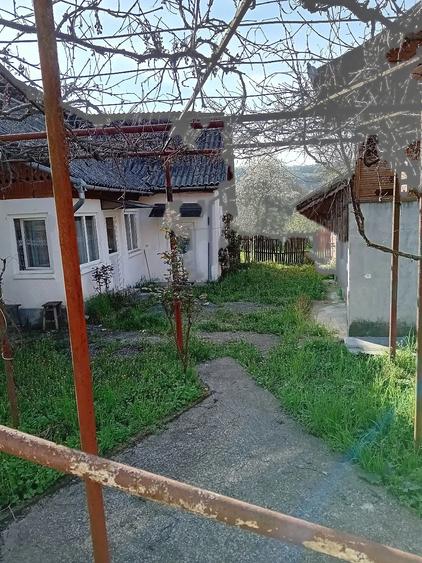 Casă cu 3 camere cu Teren 3160 Mp în Davidești