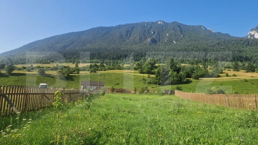 Teren Construcții intravilan de 1004 mp, în Zărnești