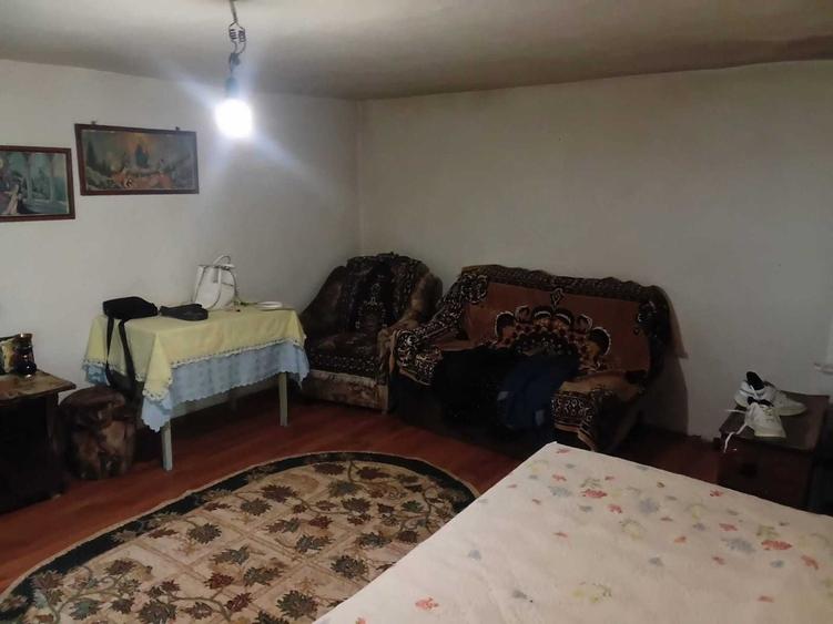 Casa de vanzare cu curte,gradina 2500mp - 8