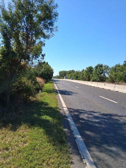 Teren Construcții intravilan de 4998 mp, în Gorgota