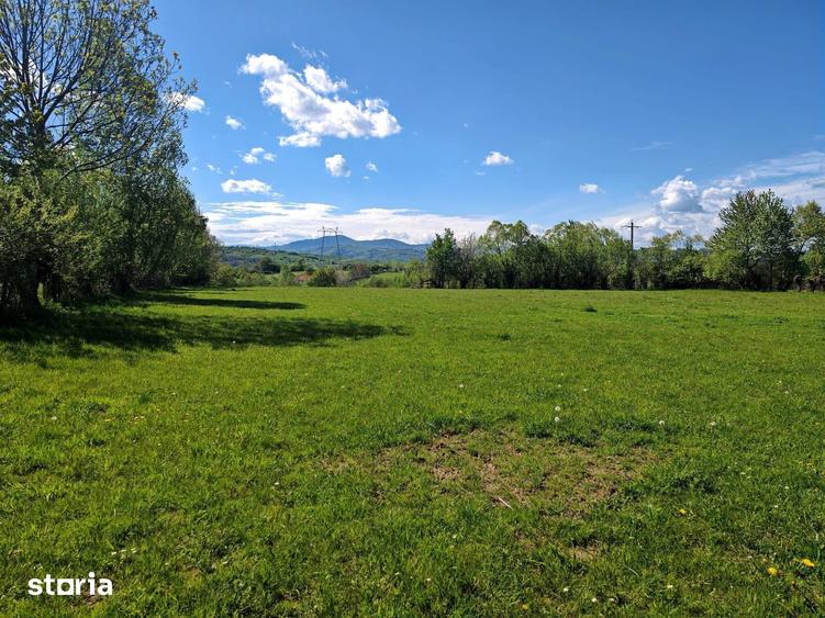 Teren de 5967 mp, în Glăjărie