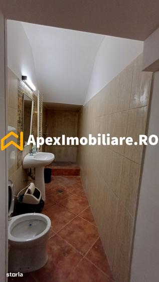 Casă cu 4 camere cu Teren 250 Mp în Domenii