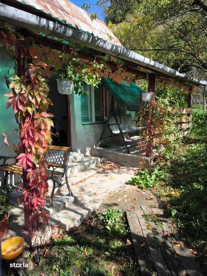 Teren de 4450 mp, în Central