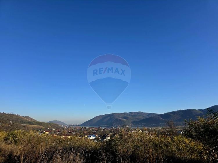 Teren Construcții intravilan de 6874 mp, în Alexandru cel Bun