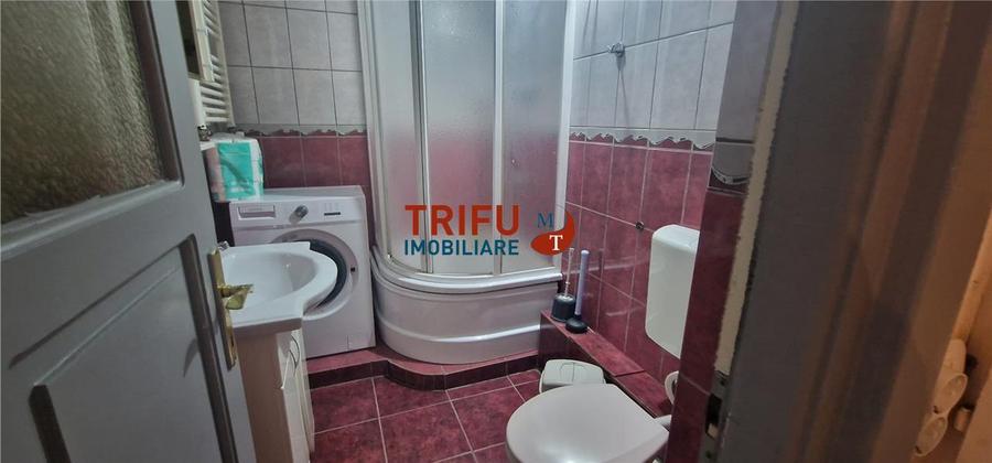 Apartament 2 camere de inchiriat zona  Mercur - 11