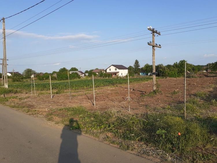 Teren de 2248 mp, în Moara Vlăsiei