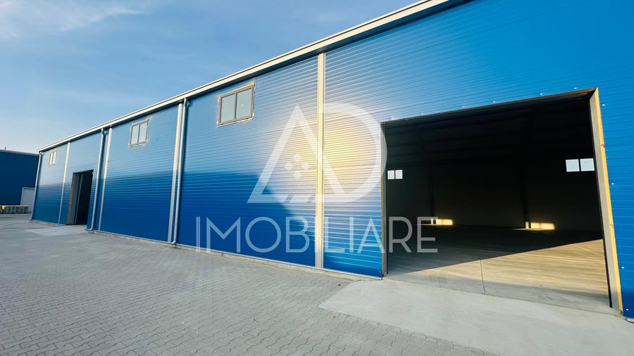 Spațiu industrial, de 1,000 mp, în Narciselor