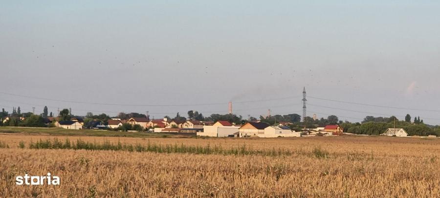 Teren 5000 mp Rovine 2(Troaca) - 3
