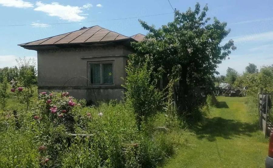 Casă cu Teren 2700 Mp în Cocorăștii Colț