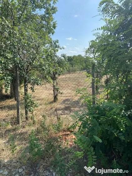 Teren de 1500 mp, în Petrești