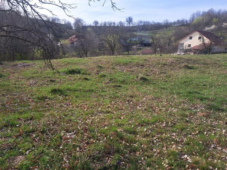 Teren de 7200 mp, în Est