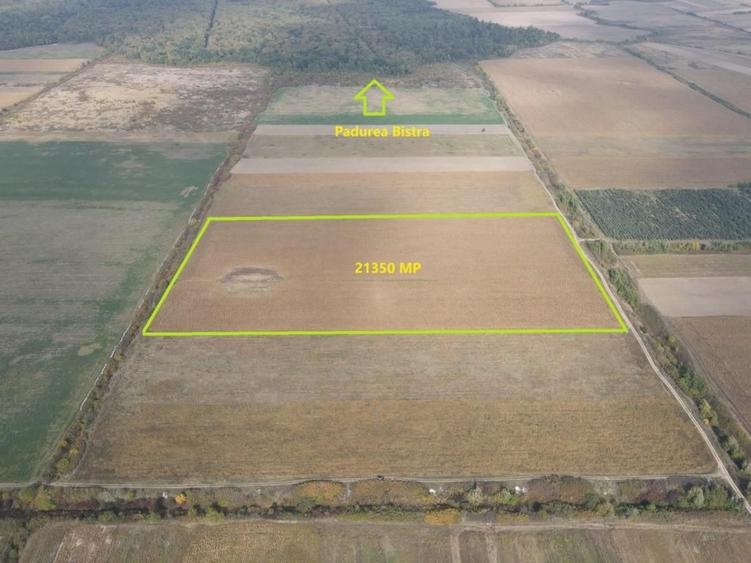 Teren Construcții intravilan de 213500 mp, în Moșnița Nouă
