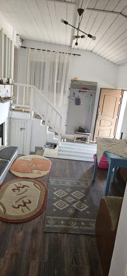 Casă cu 3 camere cu Teren 4600 Mp în Măstăcani