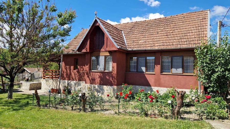 Casă cu 2 camere cu Teren 2700 Mp în Măhăceni