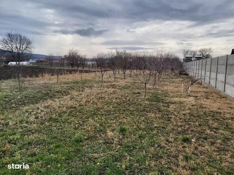 Teren de 1427 mp, în Șiria