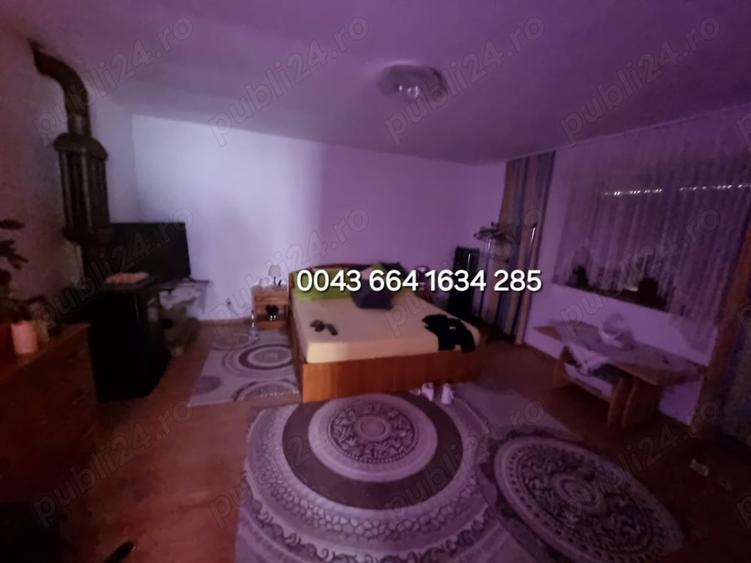 Casă cu 1 camere în Central