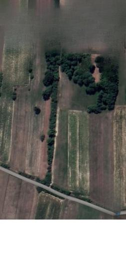 Teren Construcții intravilan de 9000 mp, în Dumbrăvița
