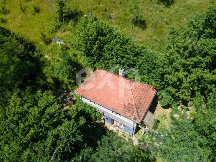 Casă individuală cu 3 camere cu Teren 3288 Mp în Bucea