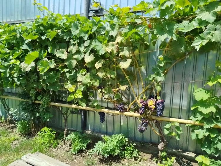 Casă cu 2 camere cu Teren 340 Mp în Breaza de Jos