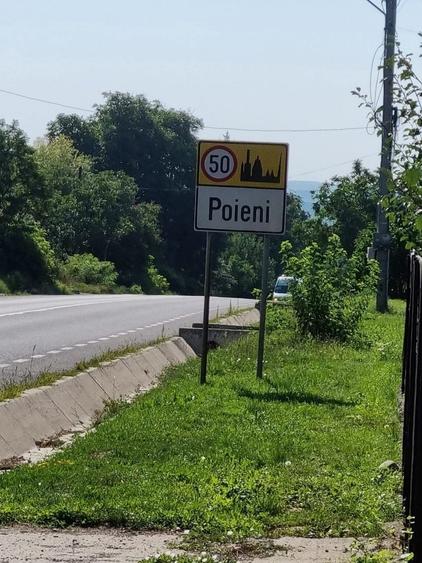 Casă cu 4 camere cu Teren 3473 Mp în Bucium