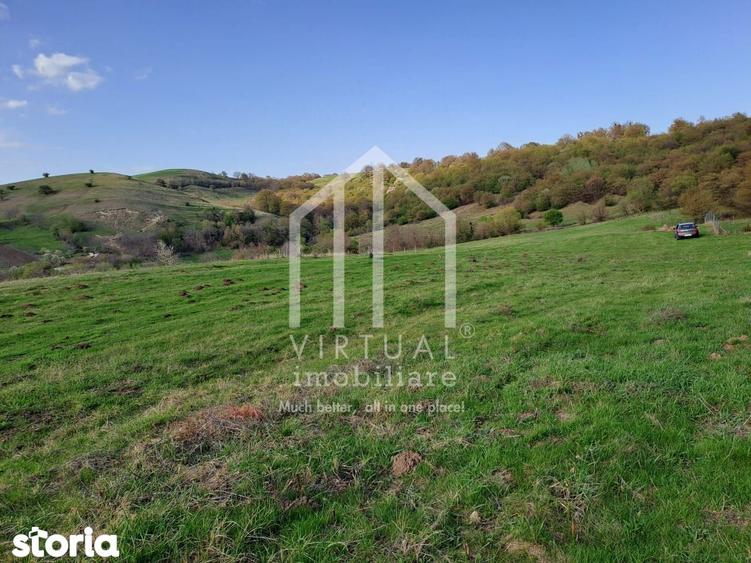 Teren extravilan de vanzare 15,600 mp zona loc... Hamba - 2