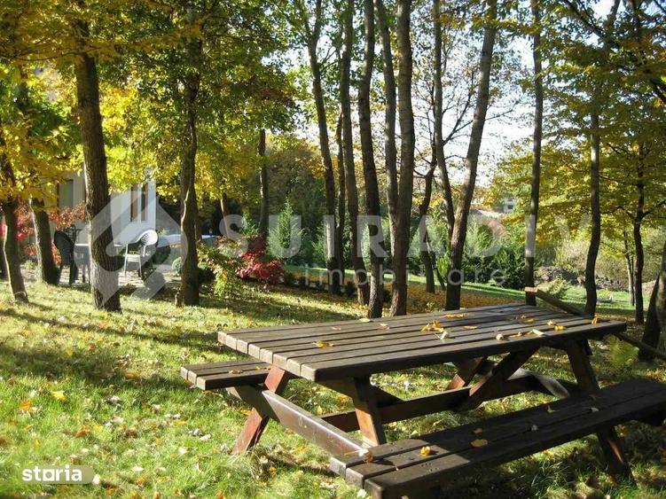 Casă cu 4 camere cu Teren 4000 Mp în Mănăștur