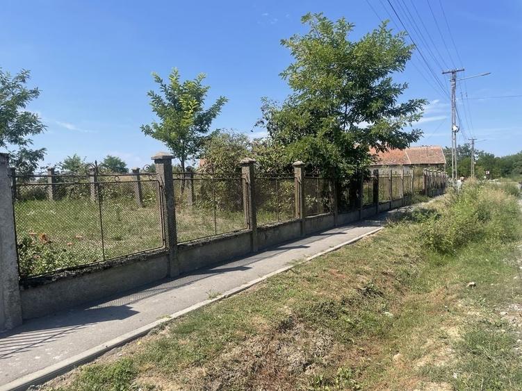 Teren de 7900 mp, în Dorolț