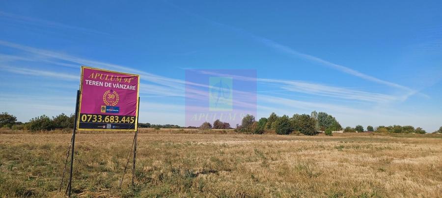 Teren Construcții intravilan de 4500 mp, în Săbăreni