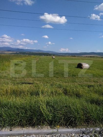Teren agricol extravilan de 18300 mp, în Nord