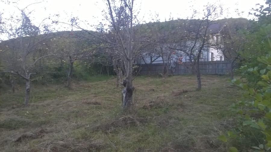Teren intravilan de 720 mp, în Vlădești