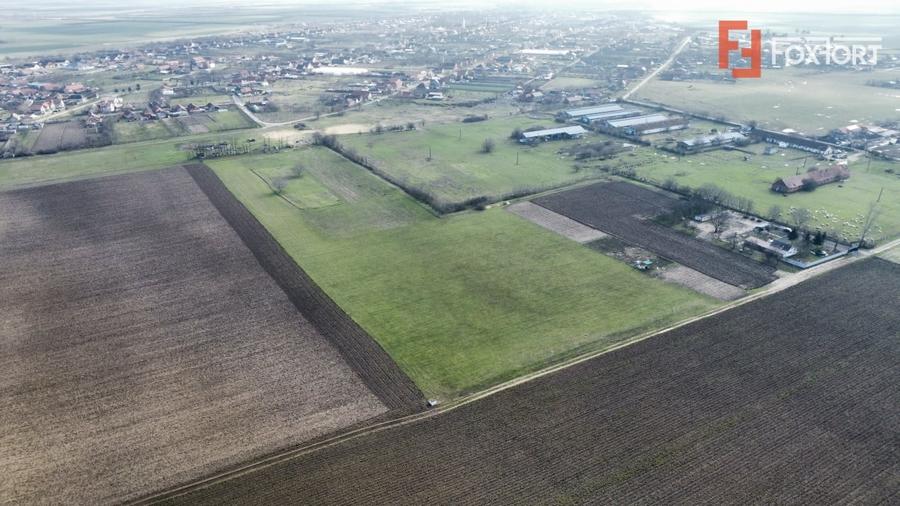 Teren Construcții intravilan de 20000 mp, în Pădureni (Jebel)