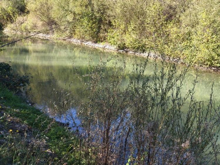 Teren Construcții intravilan de 7178 mp, în Frătăuții Vechi