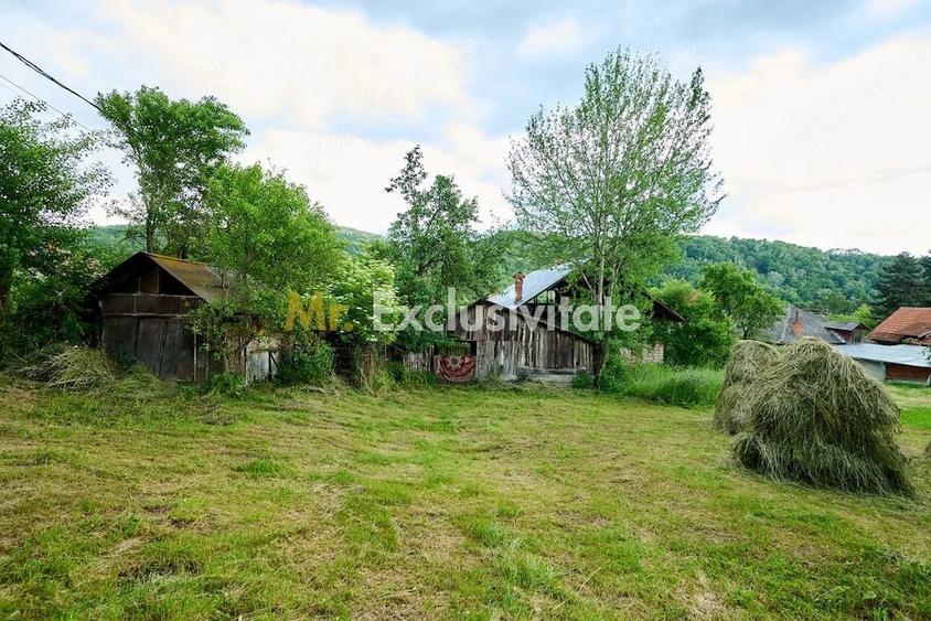 Casă cu 3 camere cu Teren 4696 Mp în Central