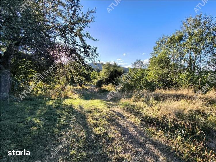 Teren de 1200 mp, în Central