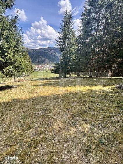 Teren de 8450 mp, în Central