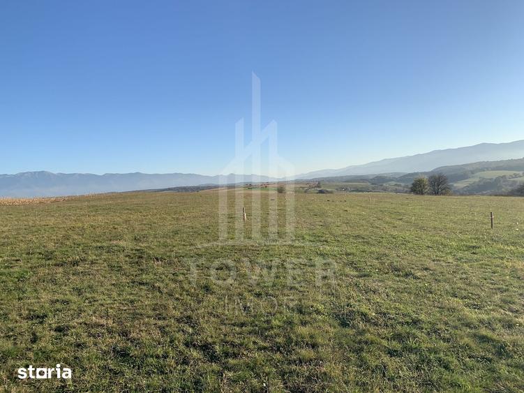 Teren de 650 mp, în Roșia