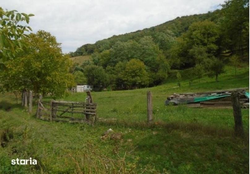 Teren de 2825 mp, în Dobra