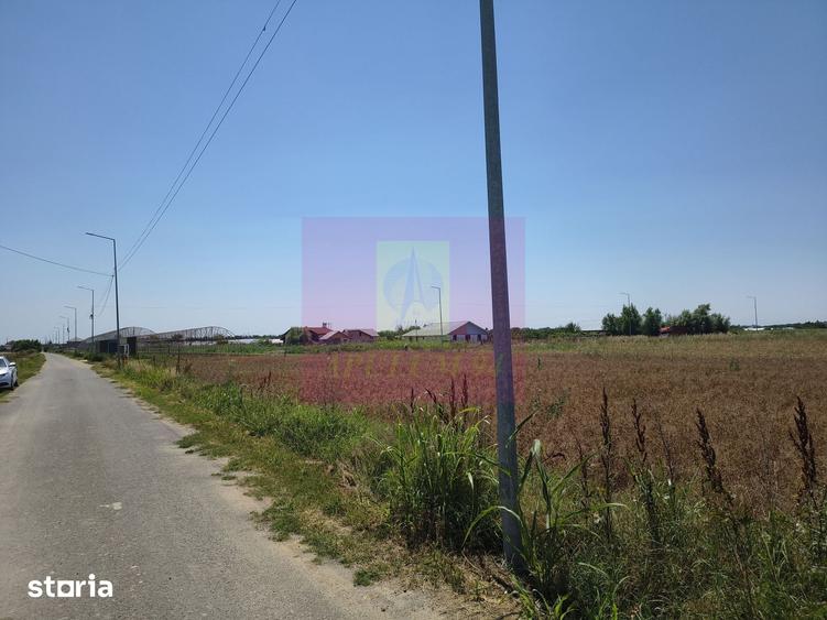 Teren de 582 mp, în Oinacu
