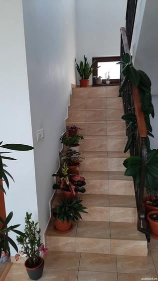 Casă cu Teren 300 Mp în Chiajna
