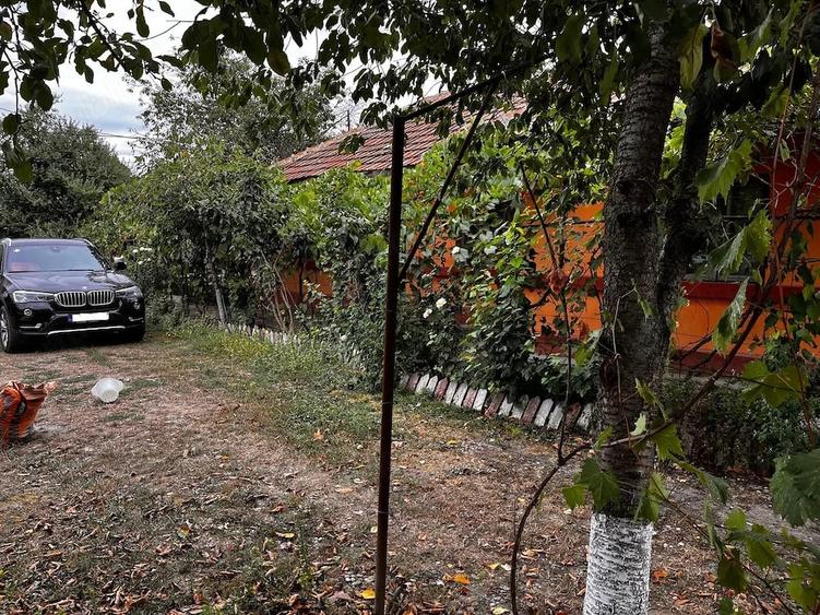 Casă cu 3 camere cu Teren 2269 Mp în Moldoveni