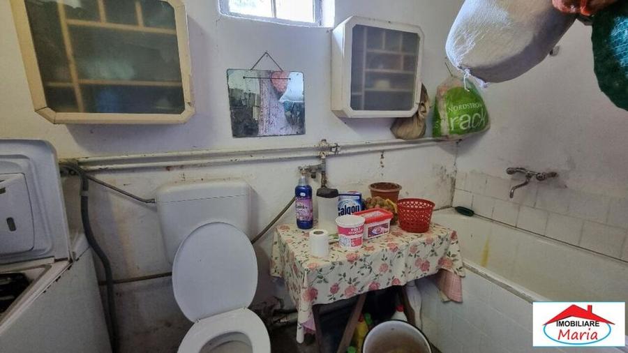 Casă individuală cu 2 camere cu Teren 8052 Mp în Viile Satu Mare