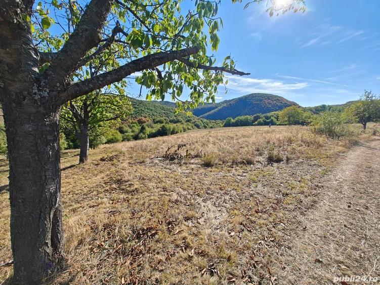 Teren de 35400 mp, în Balta