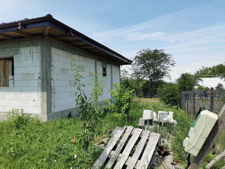 Casă cu 3 camere în Alexandru cel Bun