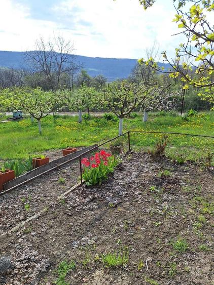 Casa P+M, direct proprietar, teren 2093 mp - 5