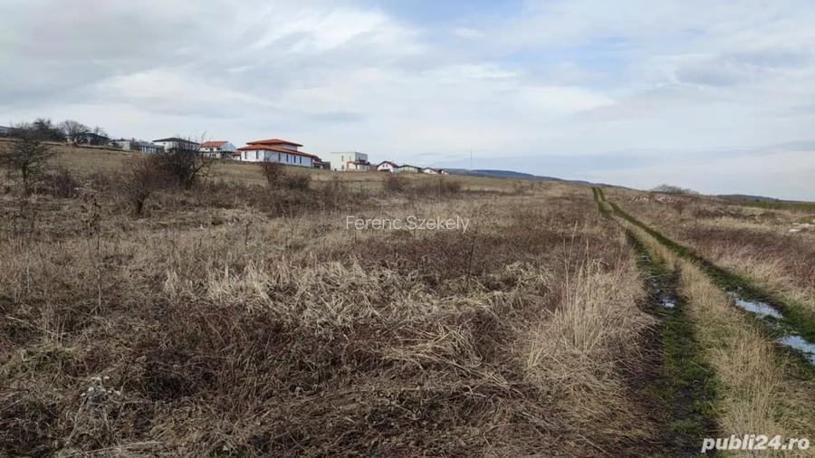 teren 2900m2 sat gheorgheni