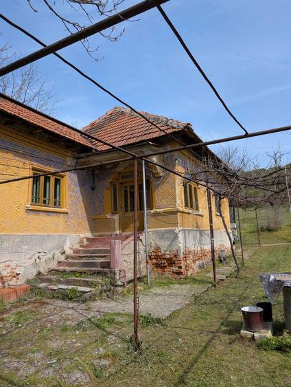 Spațiu comercial, în Milești