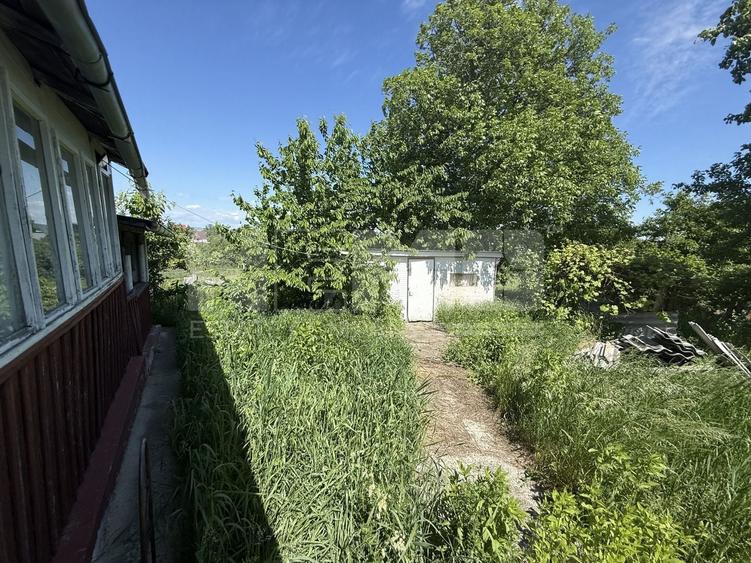 Teren Construcții intravilan de 7610 mp, în Brașca
